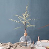 Scandinaviaform Scandinavia Form Vaasje Glasilium Transparent Ø85mm Medium Scandinaviaform Scandinavia Form Vaasje Glasilium Transparent Ø85mm Medium