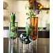 Studio About Studio About Flower tube Glass Vase H16cm Green Studio About Studio About Flower tube Glass Vase H16cm Green