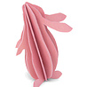 LOVI Lovi Konijn berkenhout - verschillende kleuren - 3D-dier DIY pakketje LOVI Lovi Konijn berkenhout - verschillende kleuren - 3D-dier DIY pakketje
