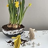 LOVI Lovi Konijn berkenhout - verschillende kleuren - 3D-dier DIY pakketje LOVI Lovi Konijn berkenhout - verschillende kleuren - 3D-dier DIY pakketje