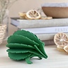 LOVI Lovi Egel berkenhout donkergroen 11cm - 3D-dier DIY pakketje LOVI Lovi Egel berkenhout donkergroen 11cm - 3D-dier DIY pakketje