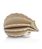 Lovi Egel berkenhout 8cm naturel 3D-dier DIY pakketje Lovi Egel berkenhout 8cm naturel 3D-dier DIY pakketje