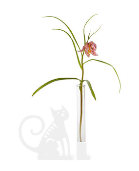 Bengt & Lotta Bengt & Lotta tube vaasje glas voor kandelaar