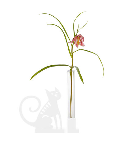 Bengt & Lotta Bengt & Lotta tube vaasje glas voor kandelaar Bengt & Lotta Bengt & Lotta tube vaasje glas voor kandelaar