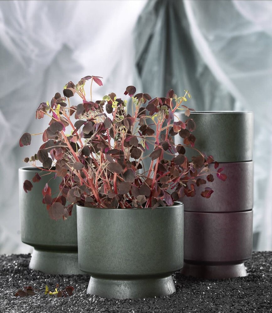 Rosendahl Rosendahl Ro Bloempot 30cm van gerecycled plastic Donkergroen Rosendahl Rosendahl Ro Bloempot 30cm van gerecycled plastic Donkergroen