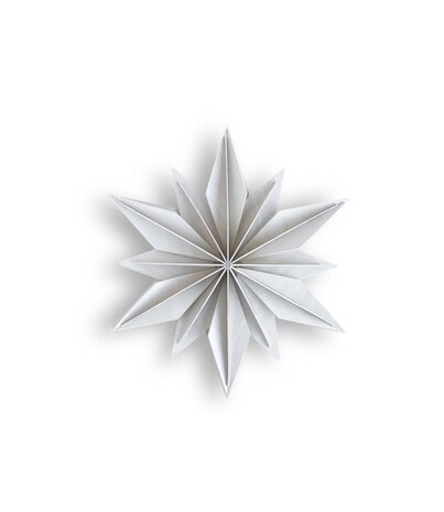 LOVI Lovi Decor Star 24cm Berkenhout wit 3D DIY pakket LOVI Lovi Decor Star 24cm Berkenhout wit 3D DIY pakket