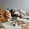 LOVI Lovi Decor Star 24cm Berkenhout wit 3D DIY pakket LOVI Lovi Decor Star 24cm Berkenhout wit 3D DIY pakket