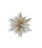 Lovi Decor Star 24cm Berkenhout naturel 3D DIY pakket Lovi Decor Star 24cm Berkenhout naturel 3D DIY pakket