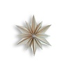 LOVI Lovi Decor Star 24cm Berkenhout naturel 3D DIY pakket LOVI Lovi Decor Star 24cm Berkenhout naturel 3D DIY pakket