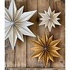 LOVI Lovi Decor Star 24cm Berkenhout naturel 3D DIY pakket LOVI Lovi Decor Star 24cm Berkenhout naturel 3D DIY pakket