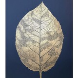 Monika Petersen Monika Petersen 50x70 Lino Print Berkenblad Goud Indigo Monika Petersen Monika Petersen 50x70 Lino Print Berkenblad Goud Indigo
