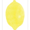 Monika Petersen Monika Petersen A4Lino Print Yellow Lemon A4 Monika Petersen Monika Petersen A4Lino Print Yellow Lemon A4
