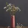 Dottir Nordic Design Dottir Vase Pipanella Lines Dusty Rose (Small) Dottir Nordic Design Dottir Vase Pipanella Lines Dusty Rose (Small)