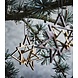 The Oak Men The Oak Men Twinkle mini eiken/messing The Oak Men The Oak Men Twinkle mini eiken/messing