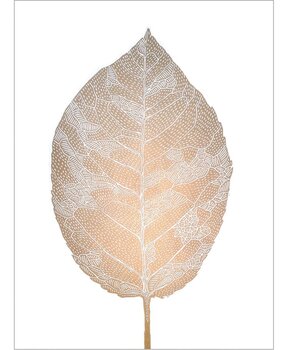 Monika Petersen Monika Petersen Lino Print Berkenblad Goud Wit 50x70