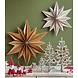 LOVI Lovi Decor Star 48cm Berkenhout kaneel 3D DIY pakket LOVI Lovi Decor Star 48cm Berkenhout kaneel 3D DIY pakket