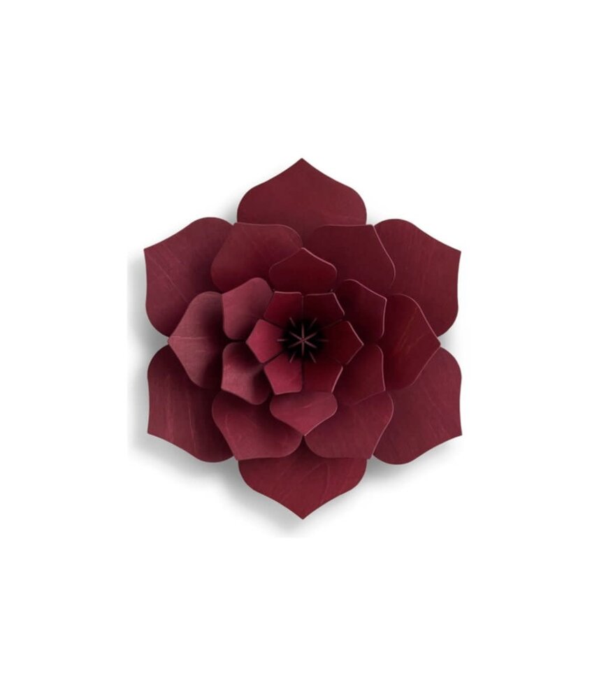 LOVI Lovi Decor Flower Rood - 4 formaten - Berkenhout 3D DIY pakket LOVI Lovi Decor Flower Rood - 4 formaten - Berkenhout 3D DIY pakket