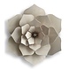 LOVI Lovi Decor Flower translucent White - 4 sizes - Birchwood 3D DIY package LOVI Lovi Decor Flower translucent White - 4 sizes - Birchwood 3D DIY package