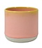 Studio Arhoj Quench Cup Pink Grapefruit Studio Arhoj Quench Cup Pink Grapefruit