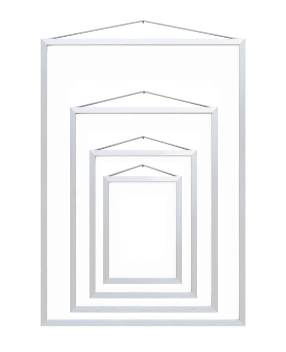 Moebe Frame Geborsteld Aluminium lijst (diverse maten)