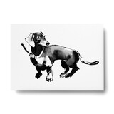 Teemu Järvi Teemu Järvi A6 kaart Teckel Teemu Järvi Teemu Järvi A6 kaart Teckel