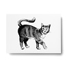 Teemu Järvi Teemu Järvi A6 card Cat Teemu Järvi Teemu Järvi A6 card Cat
