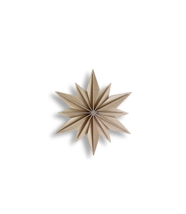 LOVI Lovi Decor Star 15cm Berkenhout naturel 3D DIY pakket