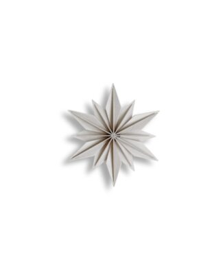 LOVI Lovi Decor Star 15cm Berkenhout transparant wit 3D DIY pakket