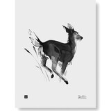 Teemu Järvi Teemu Järvi Poster Witte staart Hert 30 x 40 cm Teemu Järvi Teemu Järvi Poster Witte staart Hert 30 x 40 cm