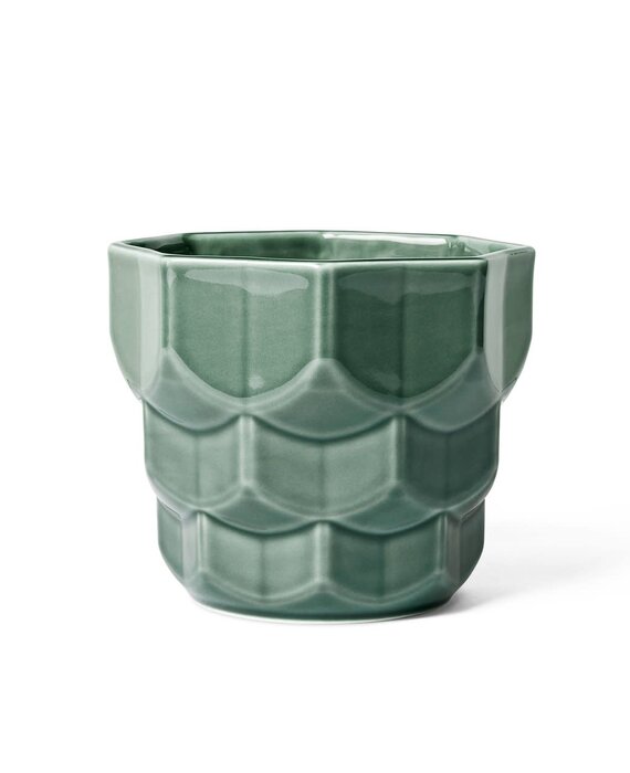 Dottir Samsurium bloempot sparrengroen small