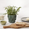Dottir Nordic Design Dottir Samsurium flower pot spruce green small Dottir Nordic Design Dottir Samsurium flower pot spruce green small