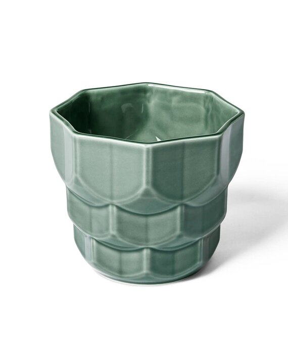 Dottir Samsurium bloempot sparrengroen small