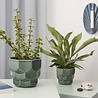 Dottir Nordic Design Dottir Samsurium flower pot spruce green small Dottir Nordic Design Dottir Samsurium flower pot spruce green small