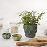 Dottir Nordic Design Dottir Samsurium set van 2 mini schaaltjes - wasabi en sparrengroen Dottir Nordic Design Dottir Samsurium set van 2 mini schaaltjes - wasabi en sparrengroen