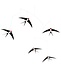 Flensted Mobiles Flying Swallows 5 Swallows mobile 53x70cm Flensted Mobiles Flying Swallows 5 Swallows mobile 53x70cm