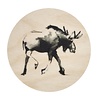muurla Muurla x Teemu Järvi wooden coaster Moose Ø10cm muurla Muurla x Teemu Järvi wooden coaster Moose Ø10cm