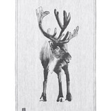 Lapuan Kankurit Lapuan Kankurit - Teemu Järvi Reindeer tea towel 46x70 linen/cotton mix Lapuan Kankurit Lapuan Kankurit - Teemu Järvi Reindeer tea towel 46x70 linen/cotton mix
