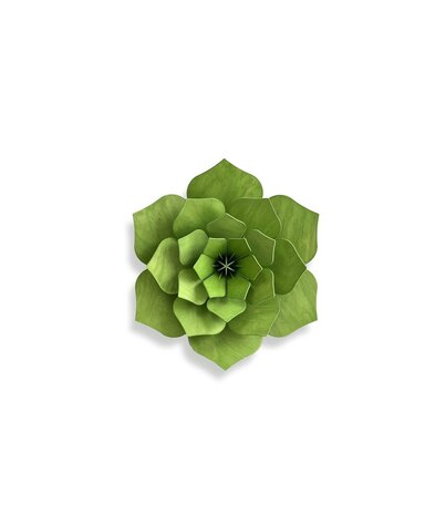 LOVI Lovi Decor Flower Light Green - 4 sizes - Birch Wood 3D DIY package LOVI Lovi Decor Flower Light Green - 4 sizes - Birch Wood 3D DIY package