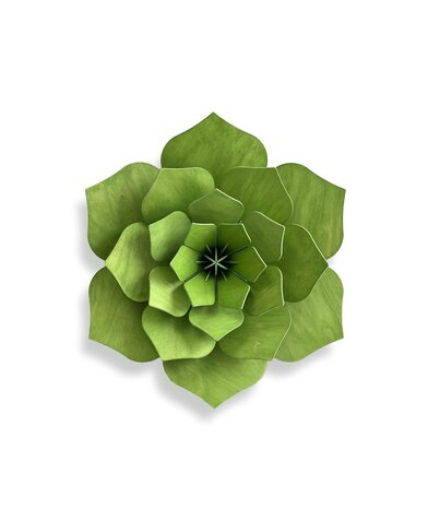 LOVI Lovi Decor Flower Light Green - 4 sizes - Birch Wood 3D DIY package LOVI Lovi Decor Flower Light Green - 4 sizes - Birch Wood 3D DIY package