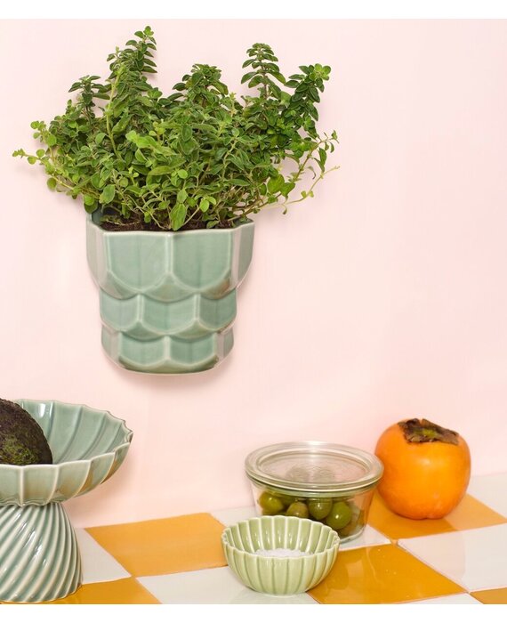 Dottir Samsurium wand bloempot eucalyptus Small