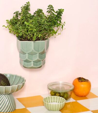 Dottir Nordic Design Dottir Samsurium wand bloempot eucalyptus Small Dottir Nordic Design Dottir Samsurium wand bloempot eucalyptus Small