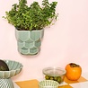Dottir Nordic Design Dottir Samsurium wand bloempot eucalyptus Small Dottir Nordic Design Dottir Samsurium wand bloempot eucalyptus Small