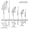 LOVI LOVI Parrot Scarlet Macaw Red (various sizes) LOVI LOVI Parrot Scarlet Macaw Red (various sizes)