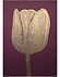 Monika Petersen Lino Print Tulp Goud Bordeaux 50x70 Monika Petersen Lino Print Tulp Goud Bordeaux 50x70