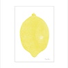 Monika Petersen Monika Petersen Mini Poster Lemon yellow A5 Monika Petersen Monika Petersen Mini Poster Lemon yellow A5