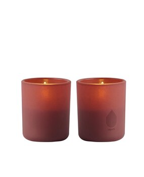 Uyuni Lighting Uyuni Lighting LED Wax candle in glass Ø6 x H7cm Wine red set of 2 Uyuni Lighting Uyuni Lighting LED Wax candle in glass Ø6 x H7cm Wine red set of 2