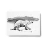 Teemu Järvi Teemu Järvi A6 kaart ijsbeer Teemu Järvi Teemu Järvi A6 kaart ijsbeer