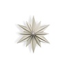 LOVI Lovi Decor Star Berkenhout Ster Transparant wit (diverse formaten) 3D DIY pakket LOVI Lovi Decor Star Berkenhout Ster Transparant wit (diverse formaten) 3D DIY pakket