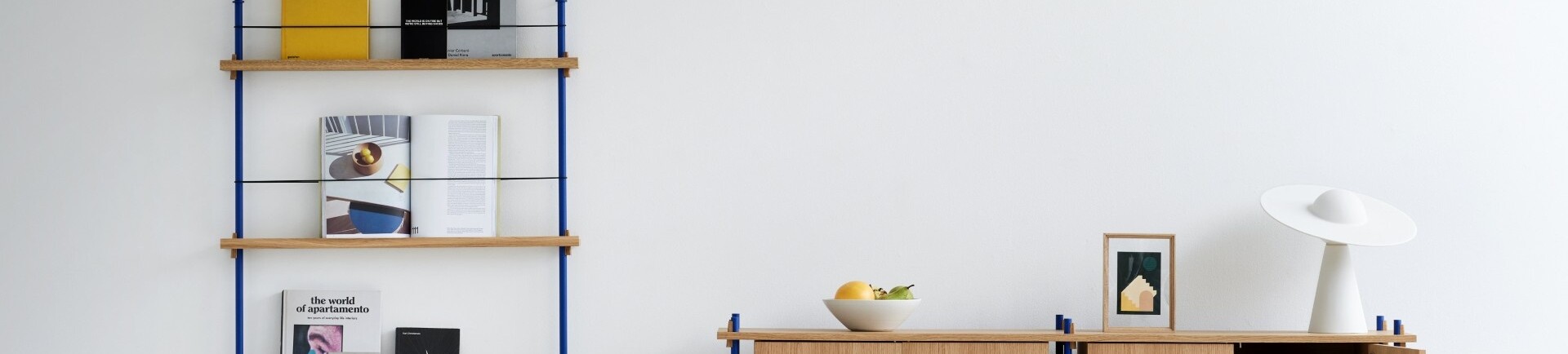 De oplossing voor jouw mooiste boeken en platen.