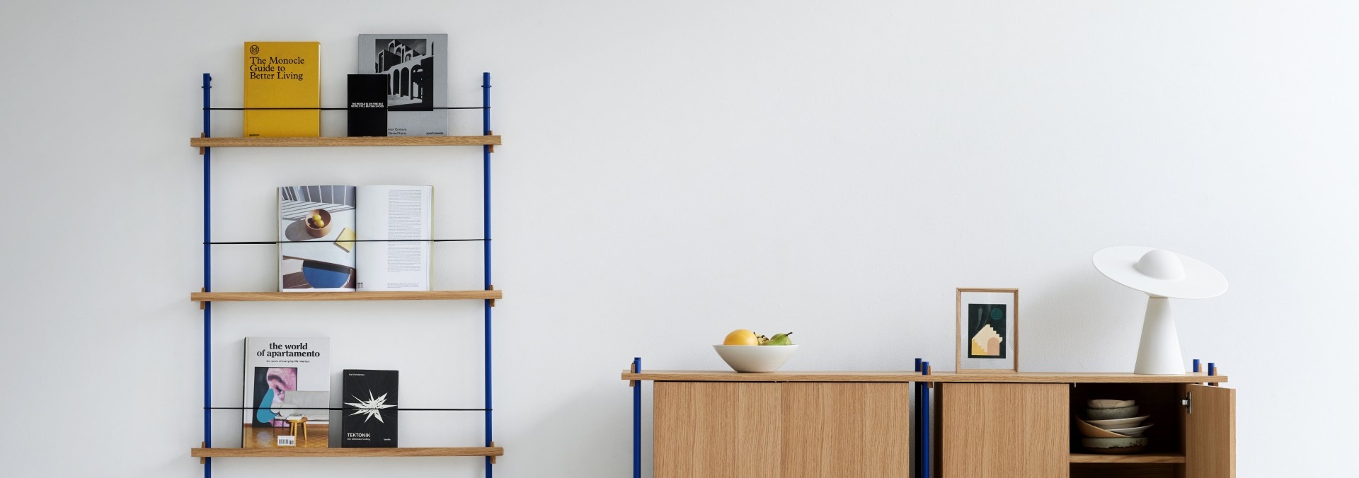 De oplossing voor jouw mooiste boeken en platen.